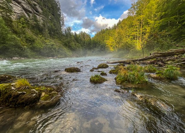 fliegenfischen steiermark