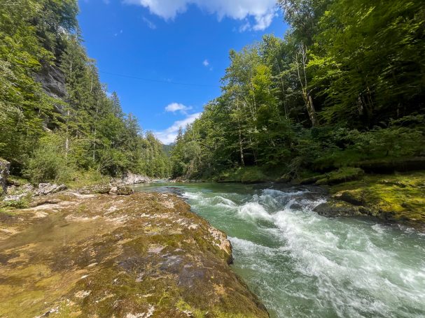 fliegenfischen steiermark